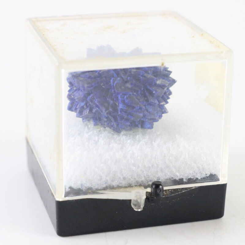 Blue Azurite Mineral Crystal Cluster W/ Case .75"