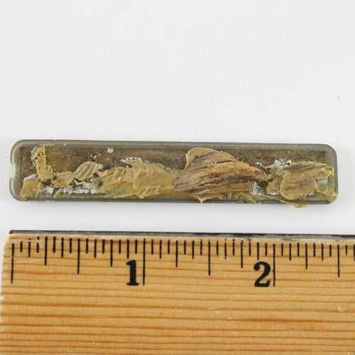 Vintage Honda Motorcycle Gas Tank Emblem Badge 2.5"