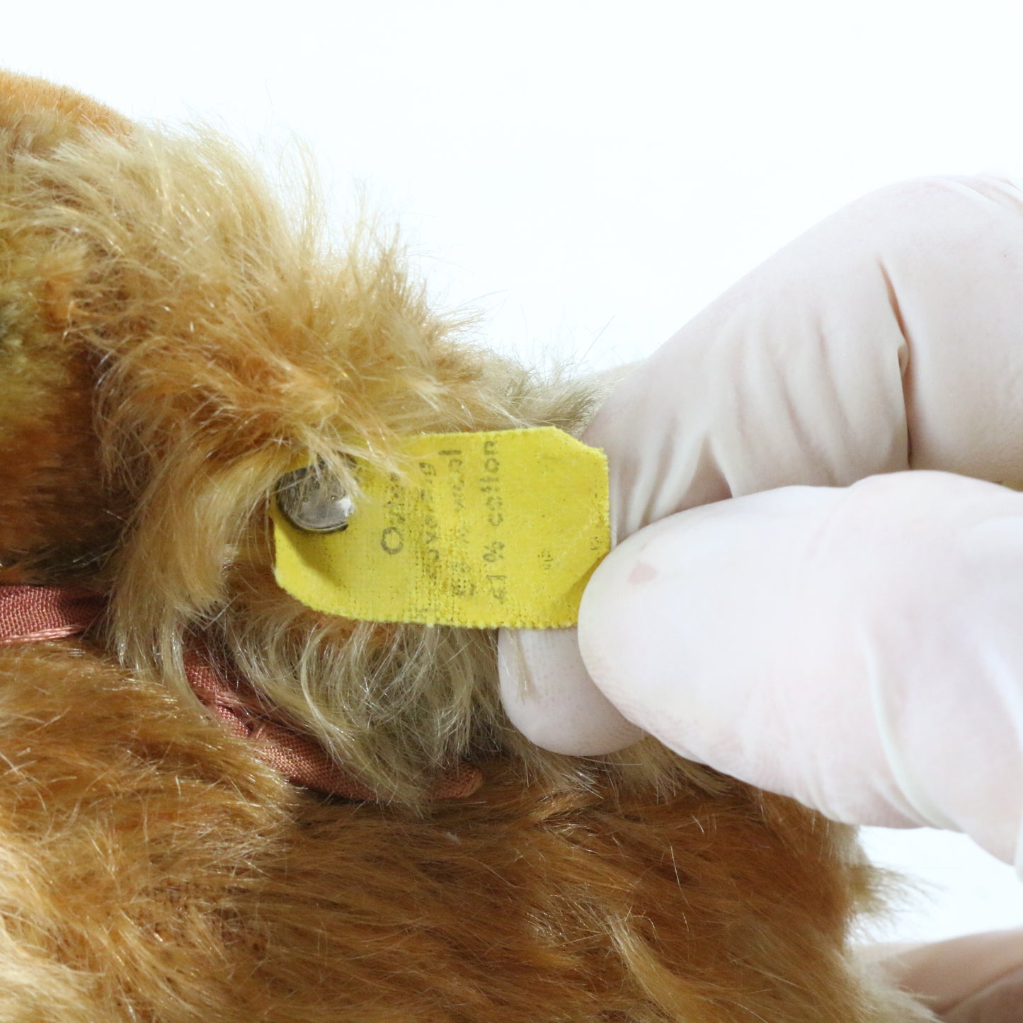 Steiff Cavalier King Charles Spaniel 4��� VINTAGE Wool Stuffed Animal