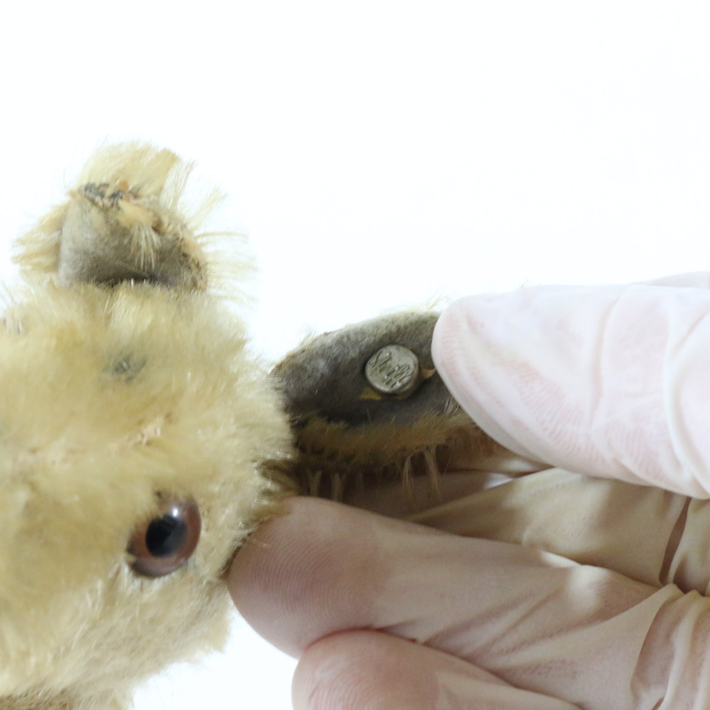 Vintage 10.5" Linda Mohair Stuffed Kangaroo Steiff Animal 1950s Era Button