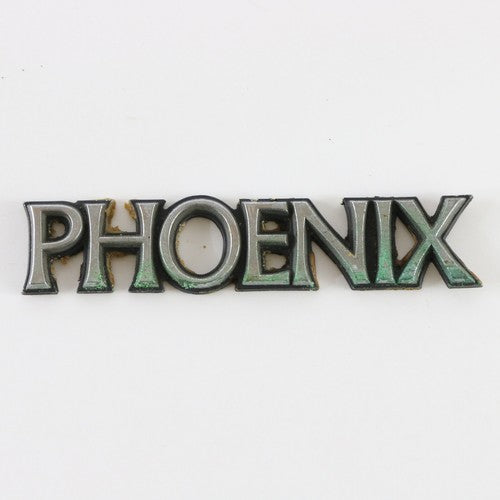  1980s Pontiac Phoenix Fender Black Silver Plastic Emblem Badge 3.75"