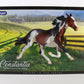 Breyer Constantia Premier Collection 2022 with Box, Bag & COA Traditional Horse