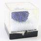 Blue Azurite Mineral Crystal Cluster W/ Case .75"