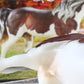 Breyer Troubadour Morgan Stallion Premier Club 2020 Box Bag And COA Horse