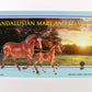 Breyer Andalusian & Foal Set Alabaster Glossy Vintage Club 2022 Poppy & Ollie