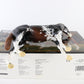 Breyer Emerson Premier Collection 2018 W/ Box Bag & COA Traditional Horse