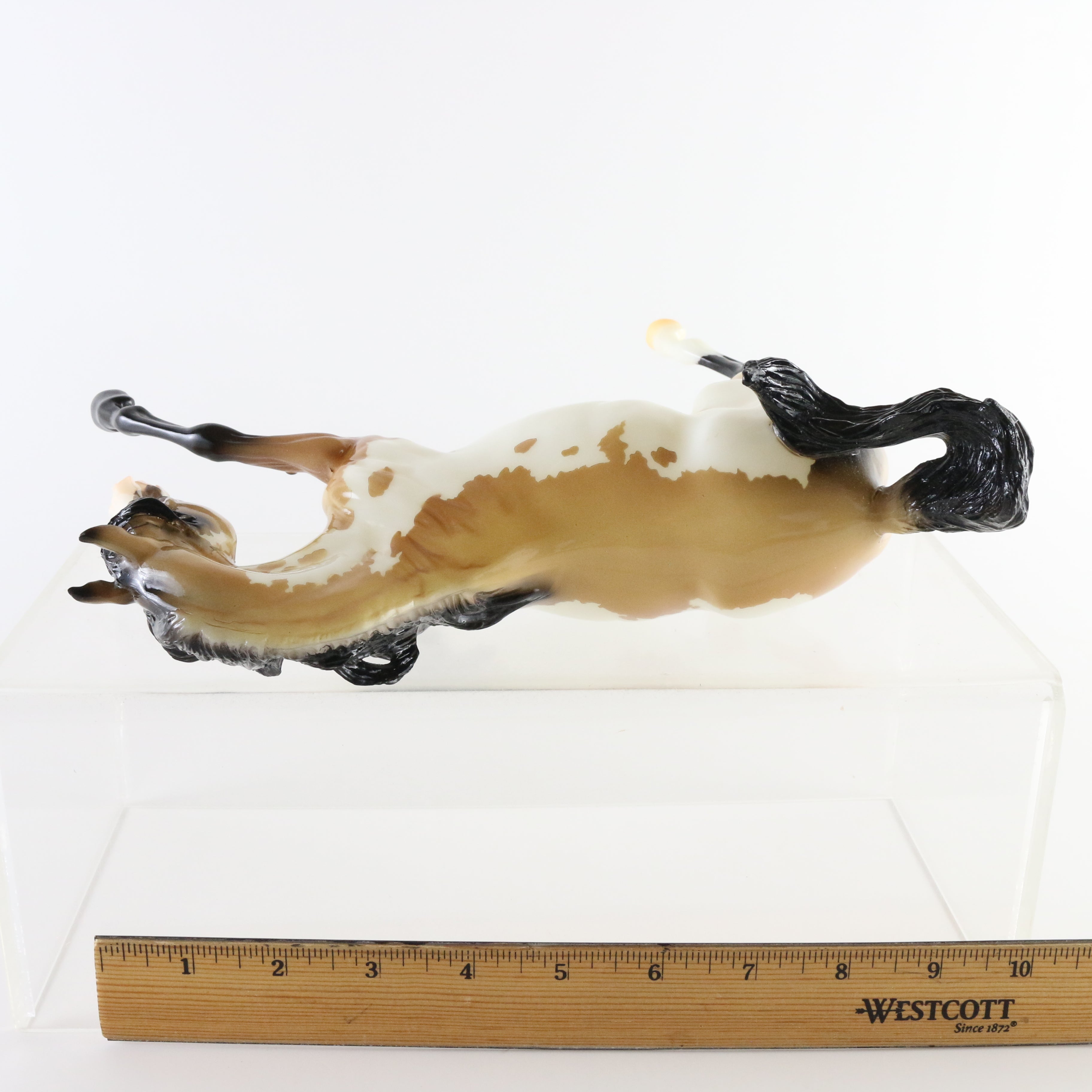 Breyer Glossy Rheverence+ hot