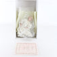 Purity Pauline Bjonness Jacobsen 12" Porcelain Doll 393/950