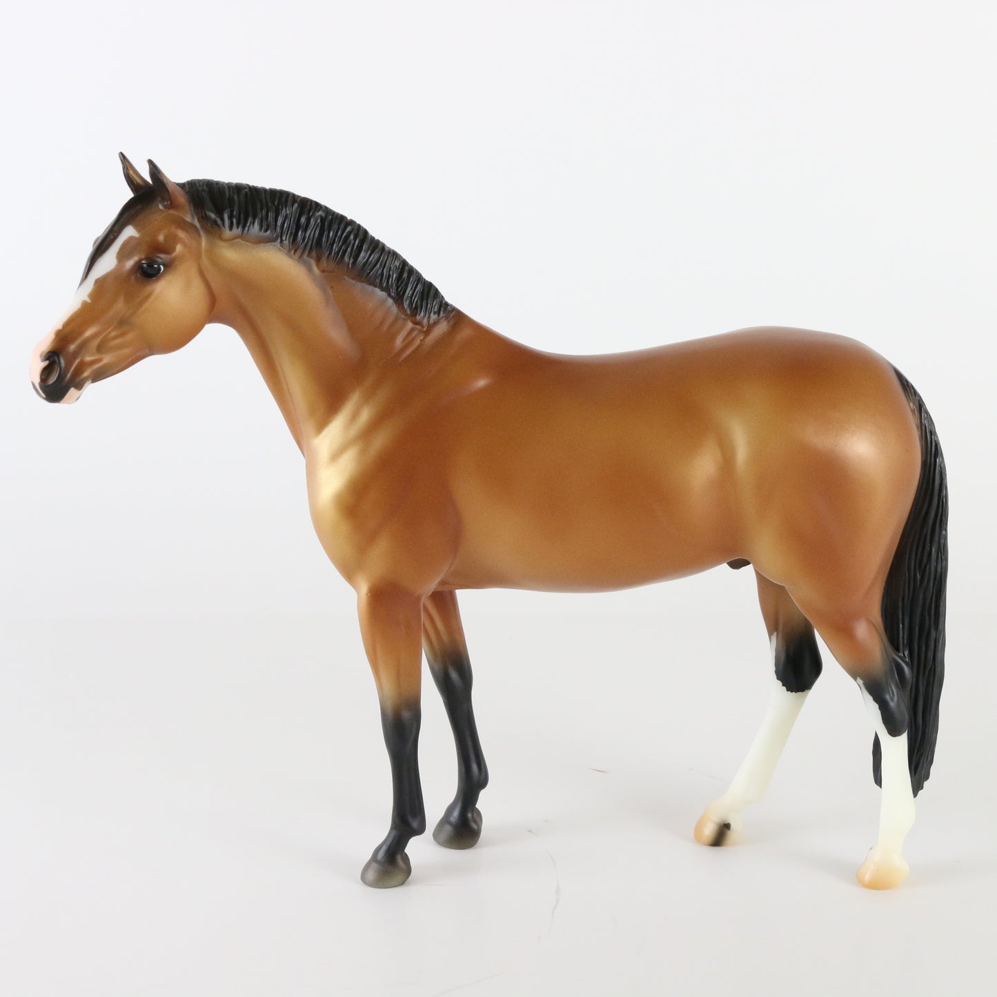 Breyer Nikolas German Riding Pony BF 2022 Celebration Buckskin Traditional Horse