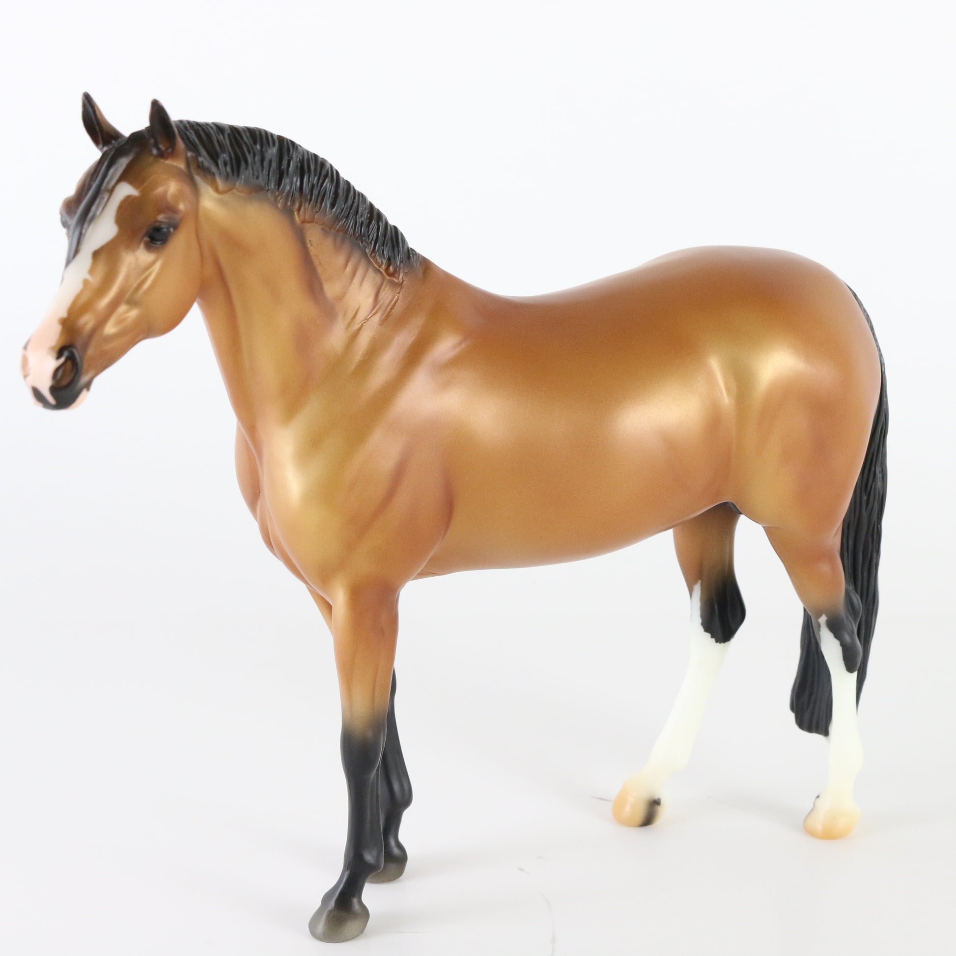 Breyer Nikolas German Riding Pony BF 2022 Celebration Buckskin Traditional Horse