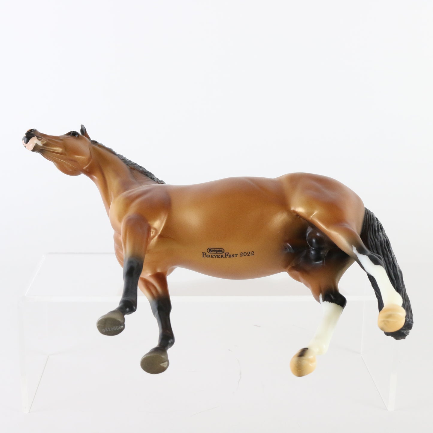 Breyer Nikolas German Riding Pony BF 2022 Celebration Buckskin Traditional Horse