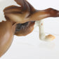 Breyer Part Of Half Arab Family Huckleberry Bey Chestnut Pinto JcPenny Horse