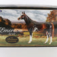 Breyer Emerson Premier Collection 2018 with Box, Bag & COA Traditional Horse