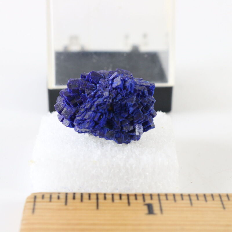 Blue Azurite Mineral Crystal Cluster W/ Case .75"