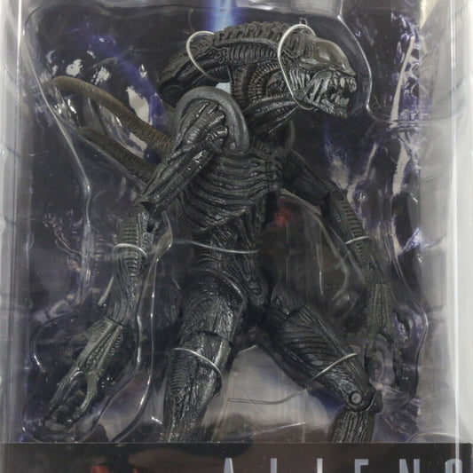 Alien Warrior Aliens Vs Predator Requiem AVPR Neca Reel Toys Action Figure