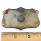 Gray Motor Corporation Detroit Enamel Metal Car Emblem Badge 2.75��� VERY RARE
