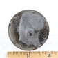 1915 - 1923 Premier 1 Automobile Antique Metal Emblem RADIATOR Badge 2"