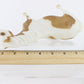 Misty Of Chincoteague Matte Palomino Tobiano Breyer #1157 2013 Traditional Size