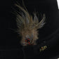 Dobbs Fifth Ave Hunter Mt Mens Black Felt Fedora W/ Feather MULTIPLE SIZES