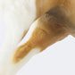 Misty Of Chincoteague Matte Palomino Tobiano Breyer #1157 2013 Traditional Size