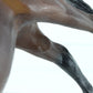 Bay Jet Run From Us Equestrian Team Gift Set Breyer #3035 Classic Size