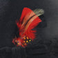 Biltmore Eleganza Raleigh Mens Black Felt Fedora W/ Red Feather MULTIPLE SIZES