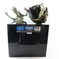 Alien Newborn Resurrection Diorama Sideshow Collectibles 9119 #420/500