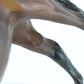 Bay Jet Run From Us Equestrian Team Gift Set Breyer #3035 Classic Size