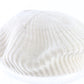 Patricia Underwood Too Ladies Beige Wool Knit Beret One Size