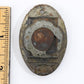 Durant Blue ���D��� Antique Metal Car Emblem Radiator Badge 2.25��� ca. 1920s