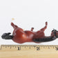 Red Bay Appaloosa From Collectibulls Rodeo Set Custom Breyer #5359 Stablemates