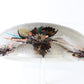 Makins New York Ladies Elegant Boutique White Felt Hat W/ Leaves 7 1/8 57cm