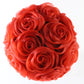 Bailey Tomlin London Ladies Red Boutique Hat W/ Mesh Roses 7 56cm