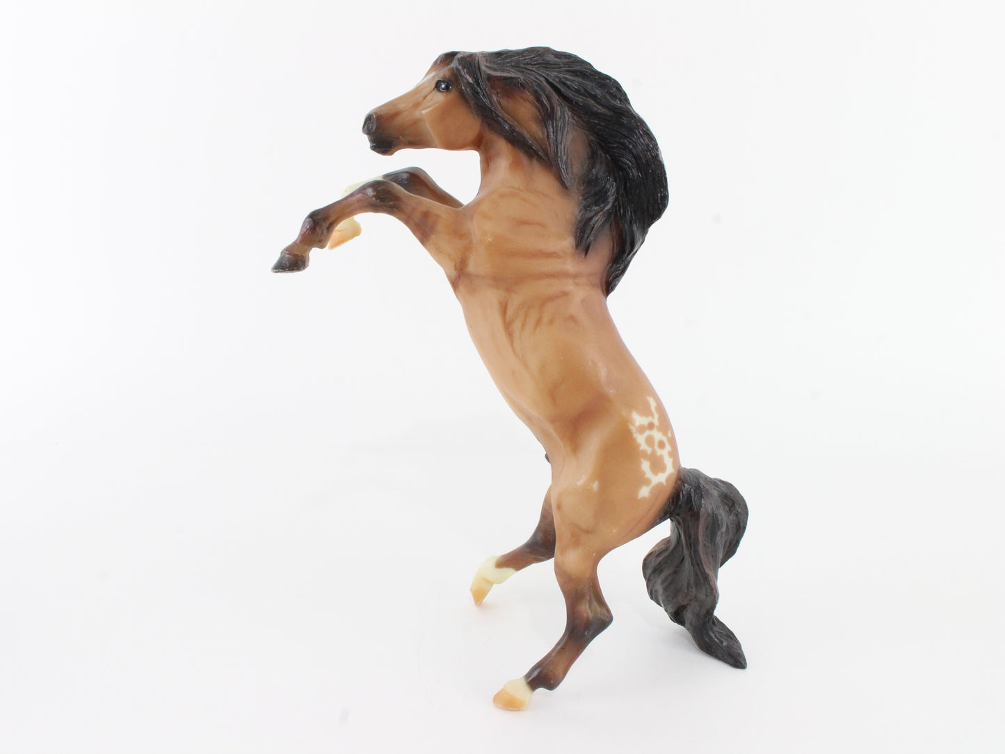 Dunn Appaloosa Rearing Wild Mustang Breyer #754803 Classic Size