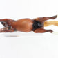Red Sorrel Appaloosa Mustang Breyer #1302 Traditional Size